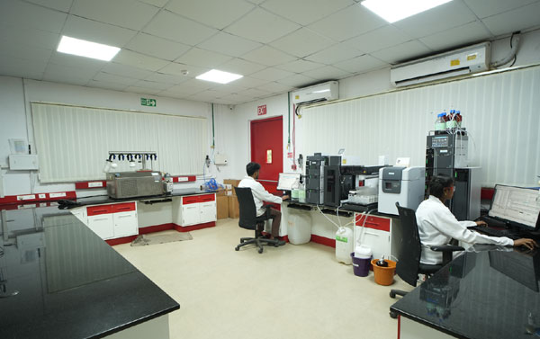 Image ALT